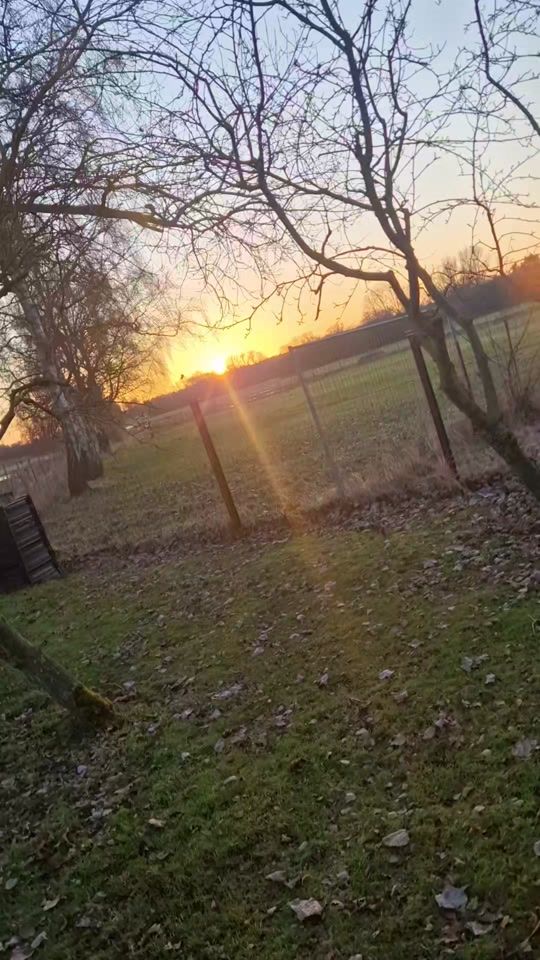 TikTok video thumbnail by userbenni85