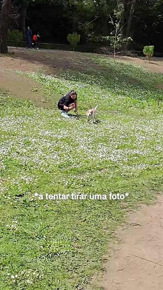TikTok video thumbnail by op.marcoss