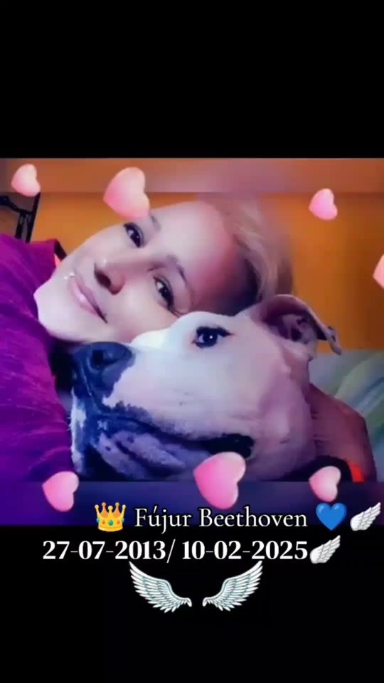 TikTok video thumbnail by adela_f_brocar
