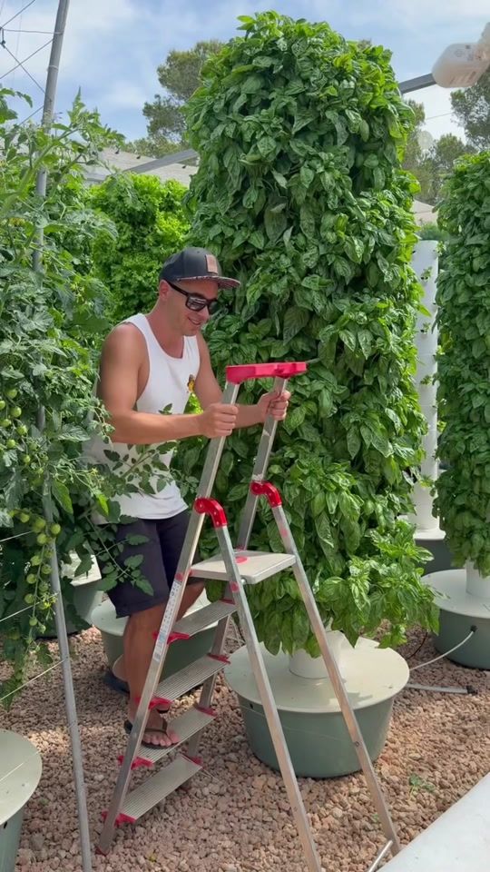 TikTok video thumbnail by agrotonomy
