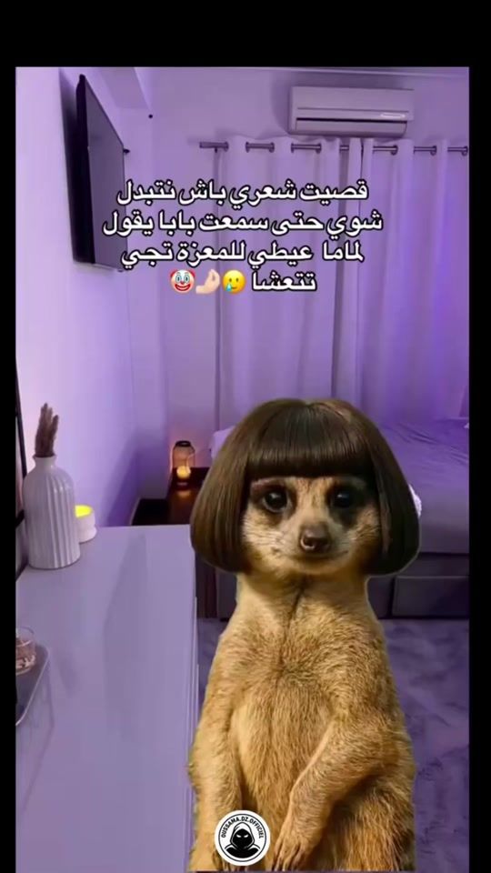 TikTok video thumbnail by chebira.oussama.dz