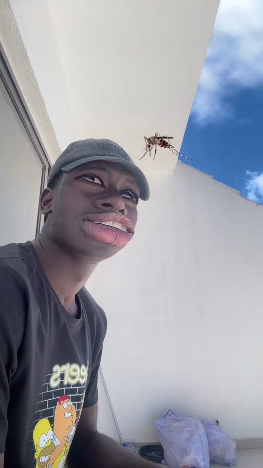 TikTok video thumbnail by sini.canarias