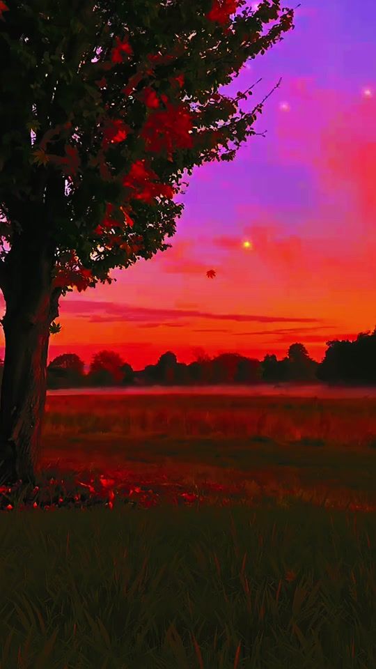 TikTok video thumbnail by zpt.yours.j._lovd