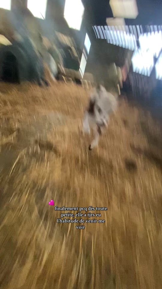 TikTok video thumbnail by elo..drb