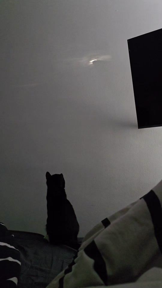 TikTok video thumbnail by puikula88