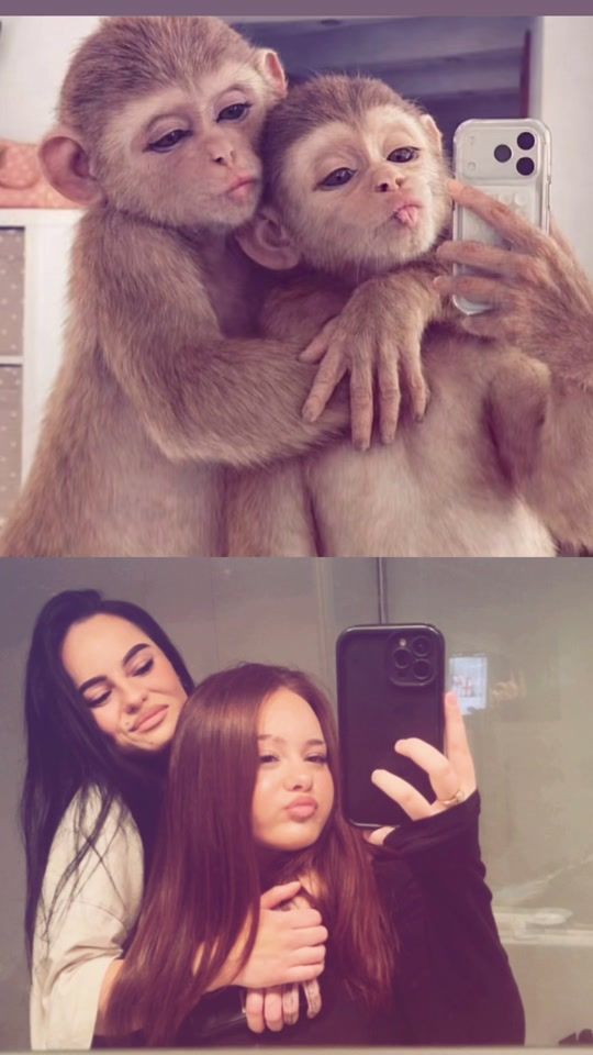 TikTok video thumbnail by karina_karinuca