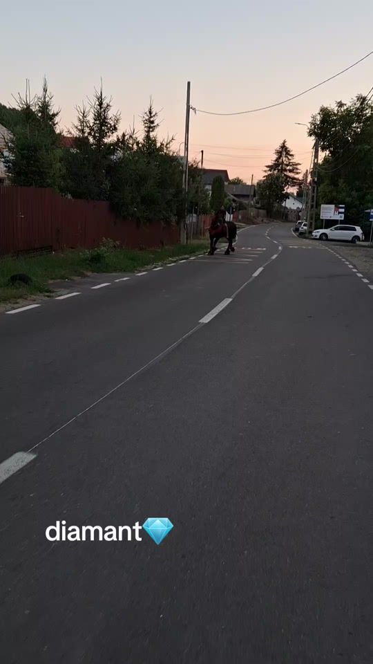 TikTok video thumbnail by alinagrozavu123
