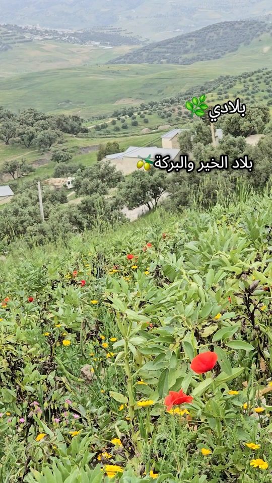 TikTok video thumbnail by elham_khadija