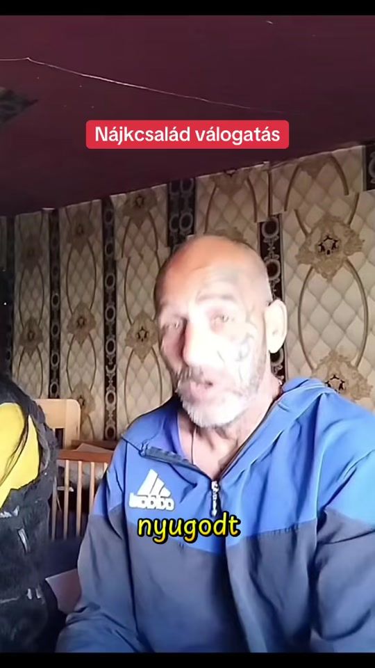 TikTok video thumbnail by tutti.paral