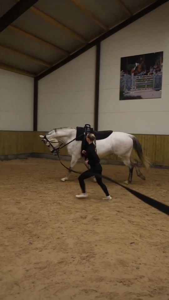 TikTok video thumbnail by vaulting.emma