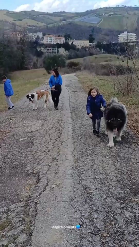 TikTok video thumbnail by sestocappuccelli