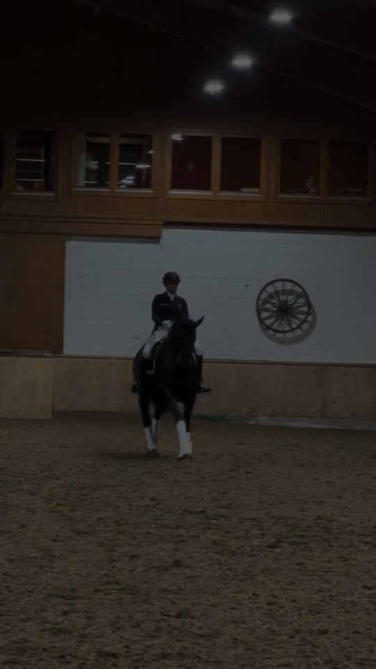 TikTok video thumbnail by lucaa.equestrian