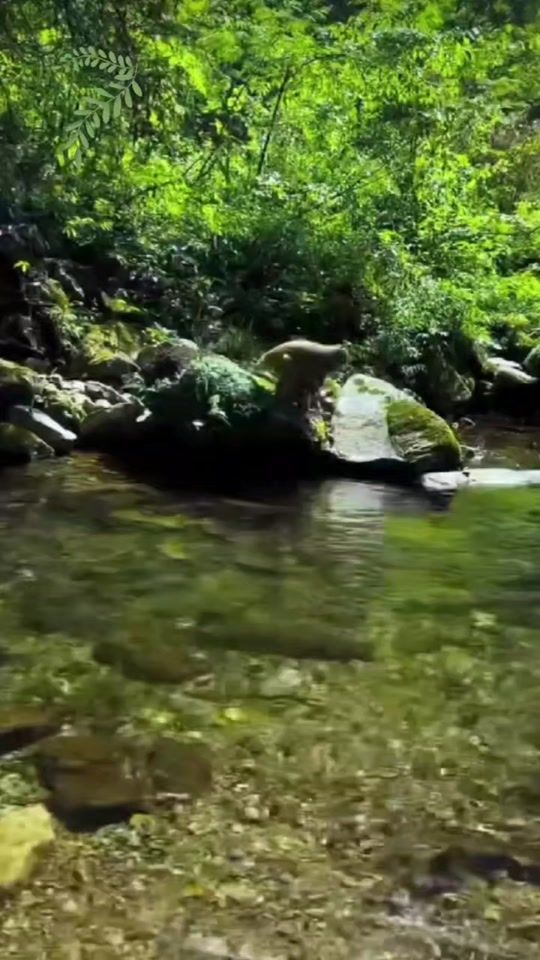 TikTok video thumbnail by .maggi123