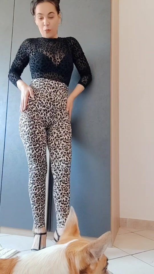 TikTok video thumbnail by lumylu5
