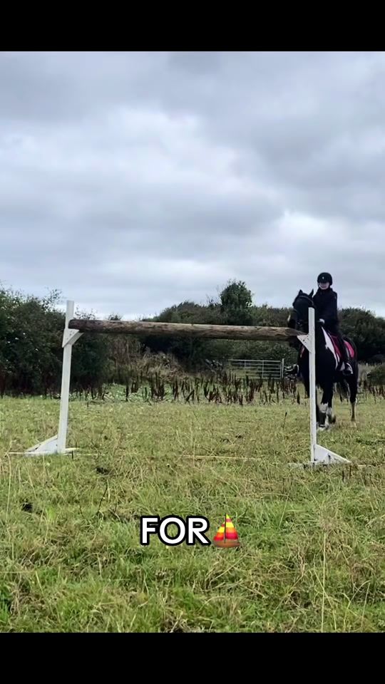 TikTok video thumbnail by cobythehorse