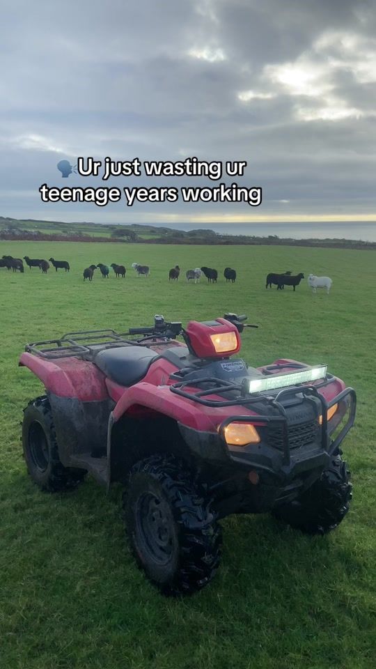 TikTok video thumbnail by farmboyfred22