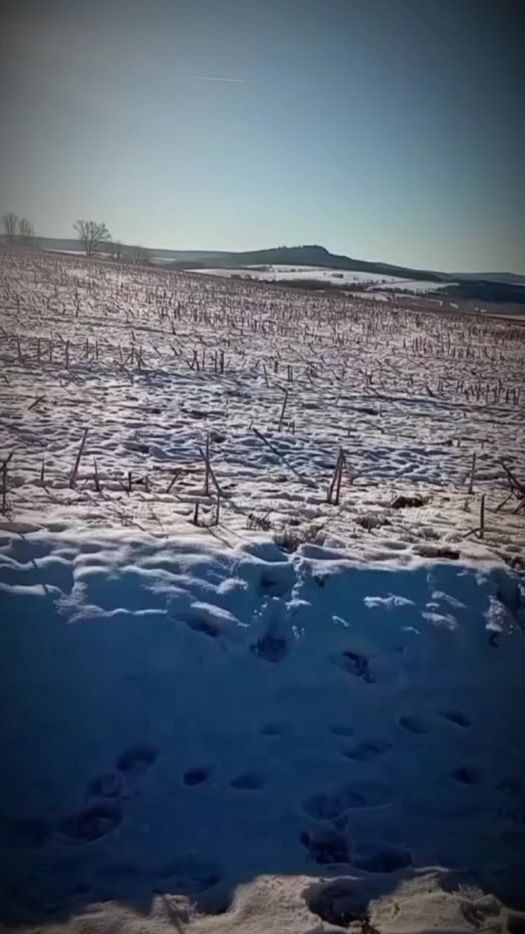 TikTok video thumbnail by lucy64967