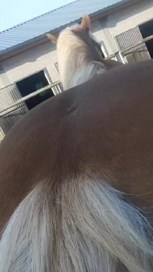 TikTok video thumbnail by wildiwildano2.0