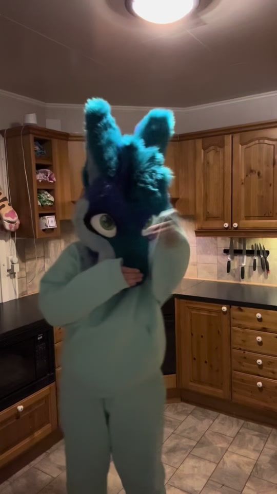 TikTok video thumbnail by fetchpuppy