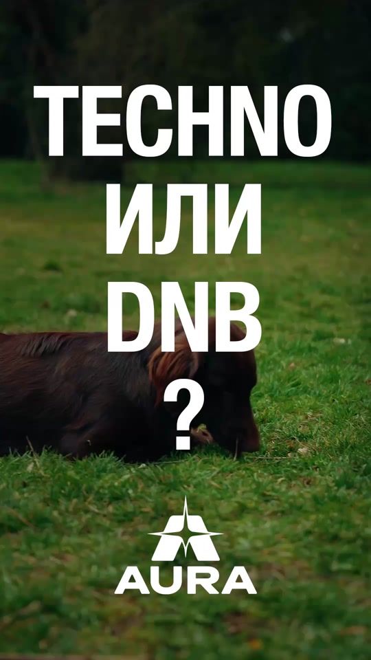TikTok video thumbnail by festteambg