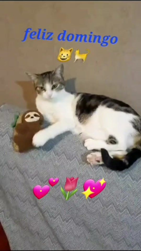 TikTok video thumbnail by nikii7791