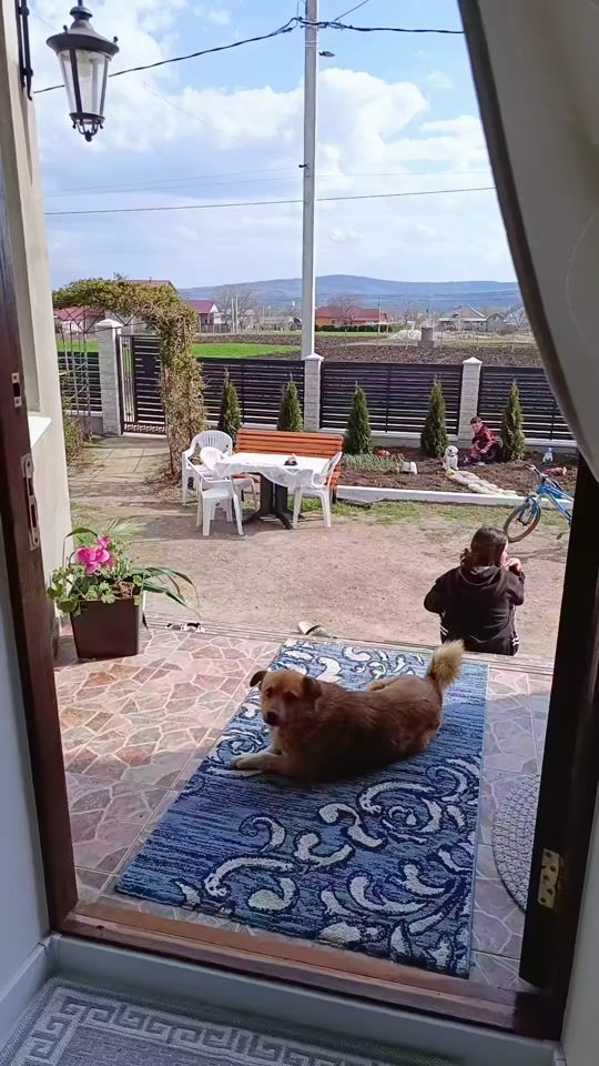 TikTok video thumbnail by galina.burduja