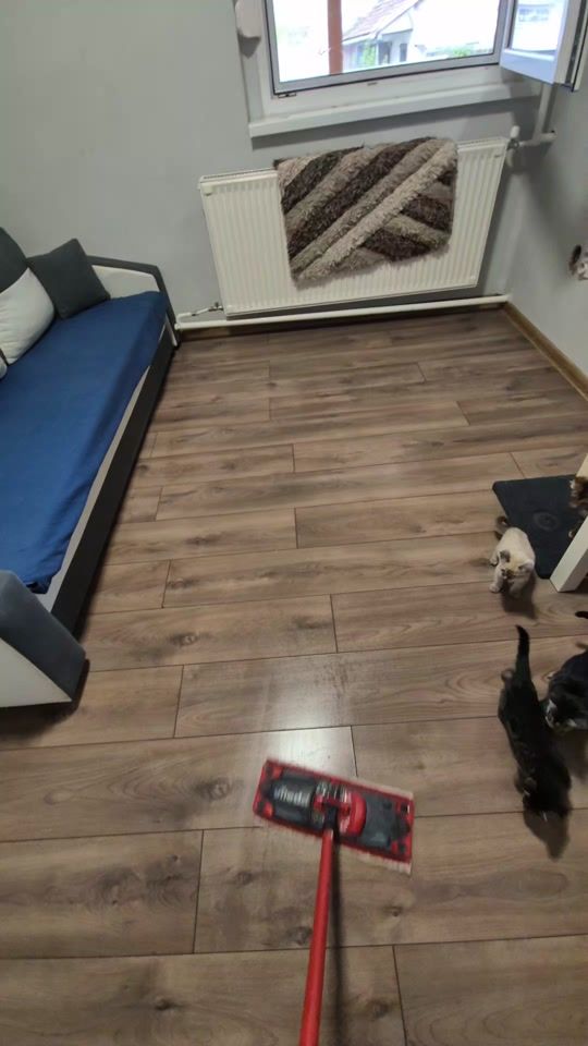 TikTok video thumbnail by haydubengals