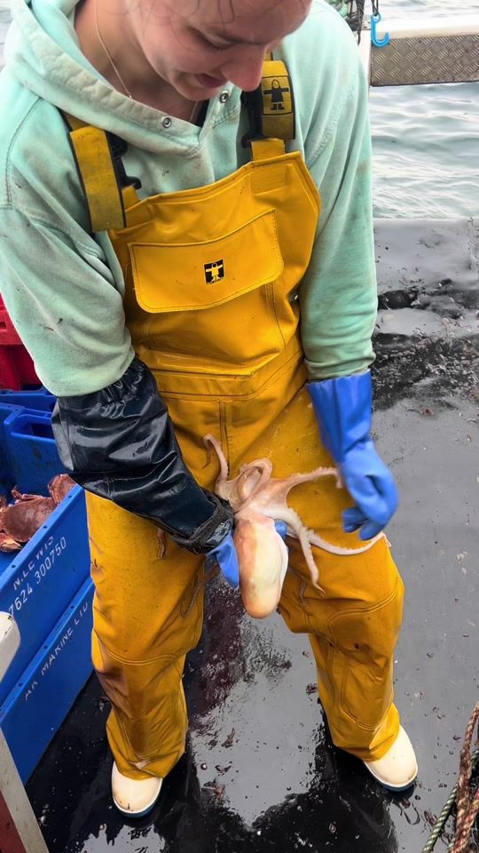 TikTok video thumbnail by nickylewis69