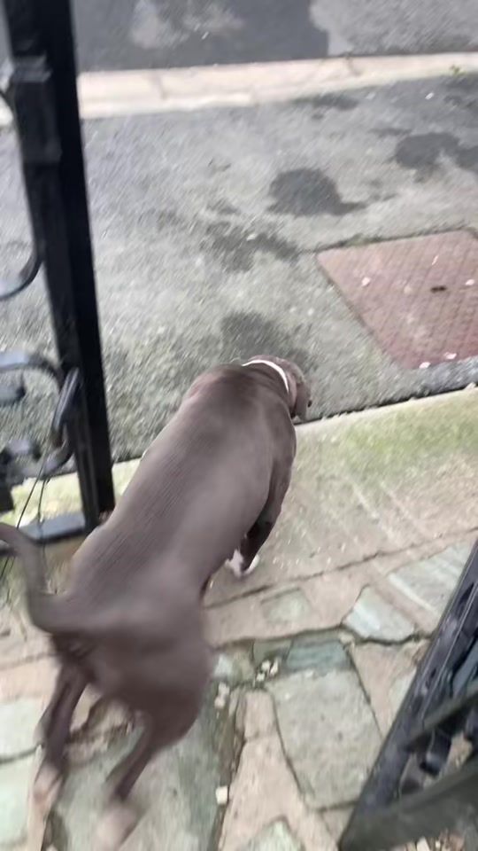 TikTok video thumbnail by dilosh_photography