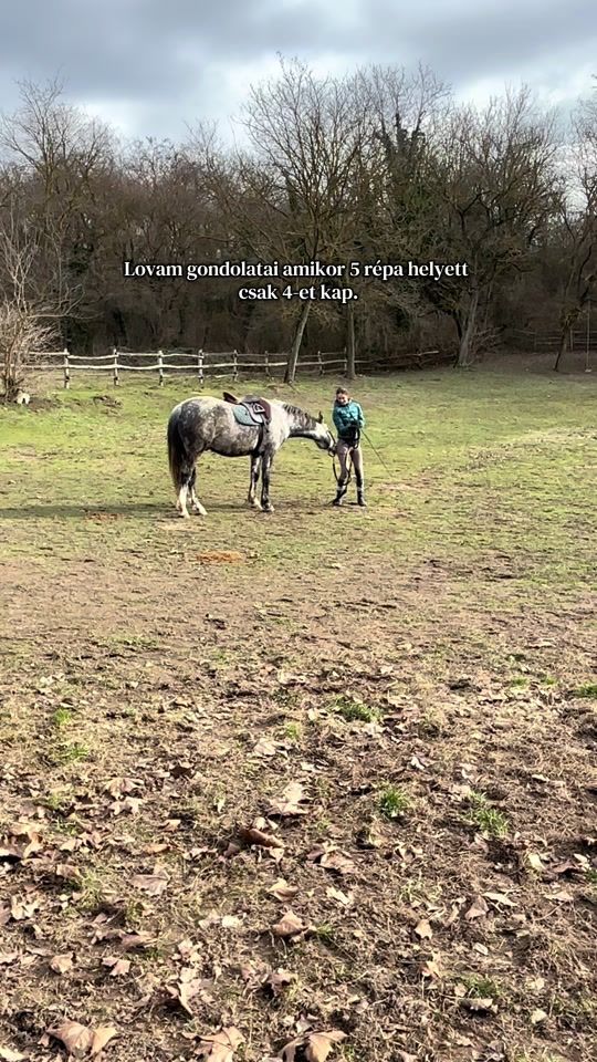 TikTok video thumbnail by anna.godri