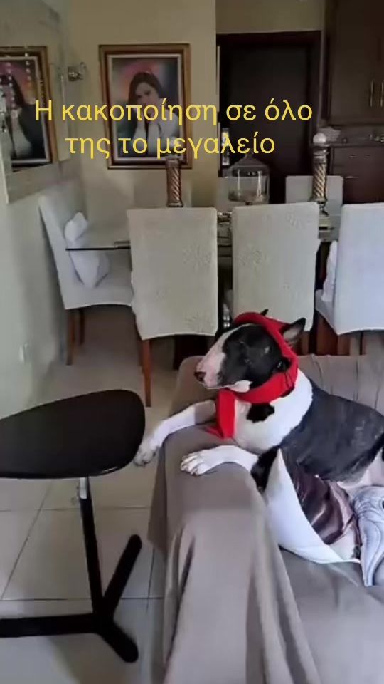 TikTok video thumbnail by useyio1234