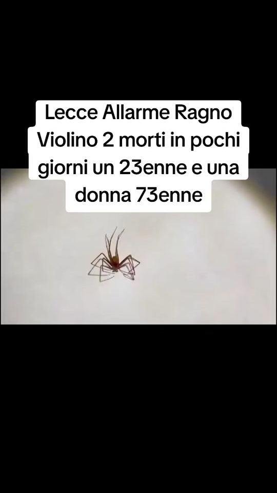 TikTok video thumbnail by saverio16012000