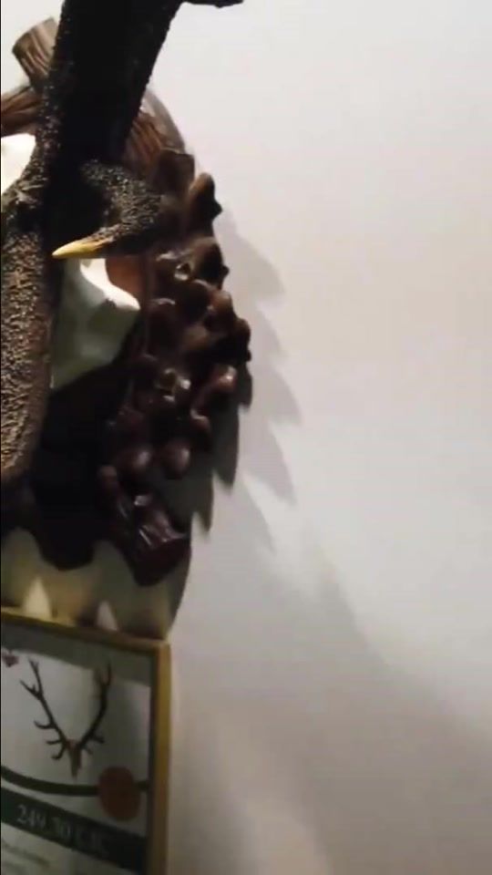 TikTok video thumbnail by potulky.prirodou
