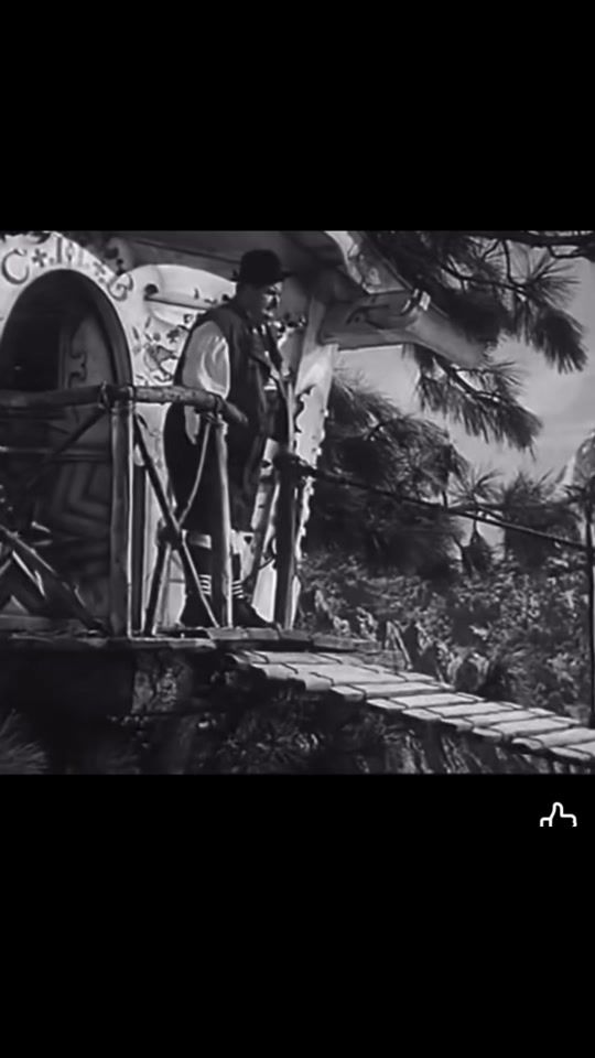 TikTok video thumbnail by warrior1081angel
