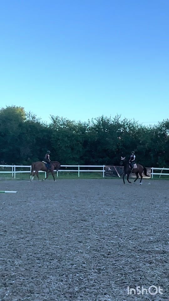 TikTok video thumbnail by miaaa.equestrian