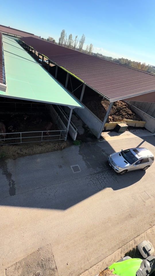 TikTok video thumbnail by bellucofarm