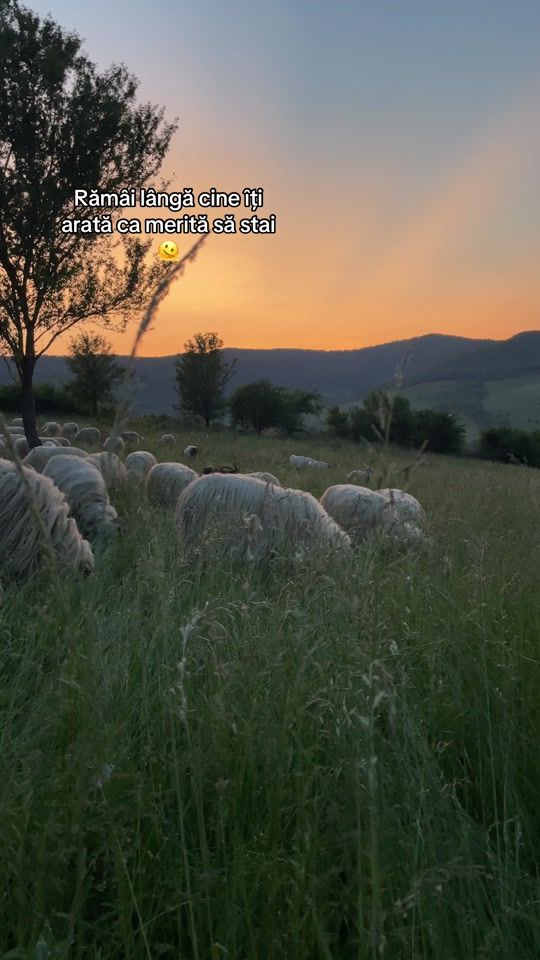 TikTok video thumbnail by agro.deni28