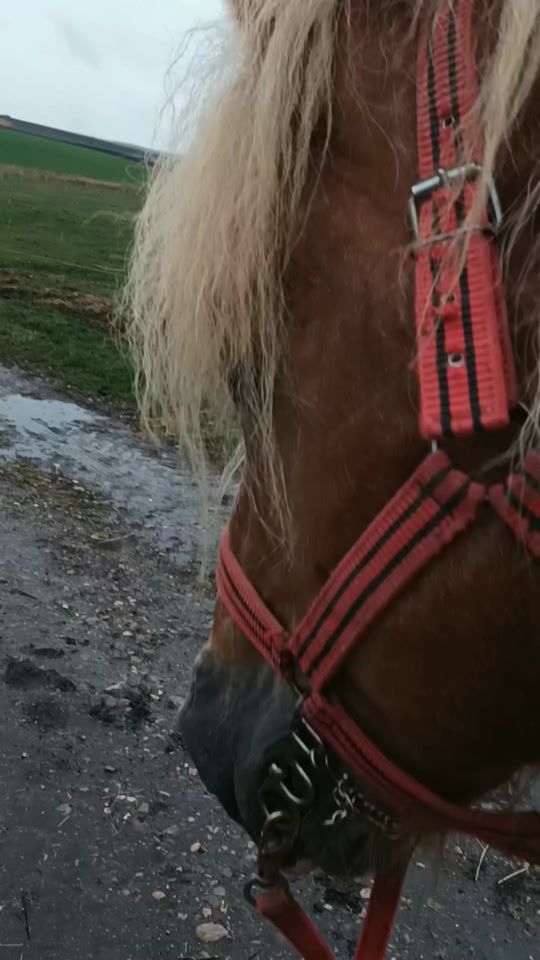 TikTok video thumbnail by georgegeo.95