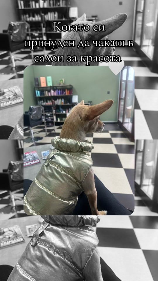 TikTok video thumbnail by nelichepanova