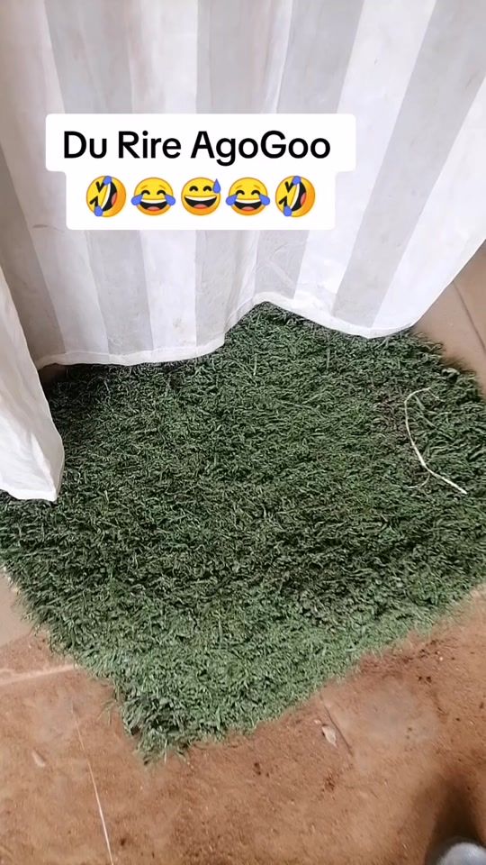 TikTok video thumbnail by foopatou0