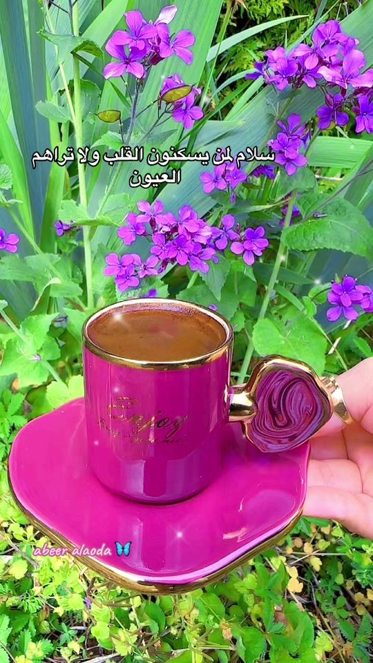 TikTok video thumbnail by abeer.alaoda