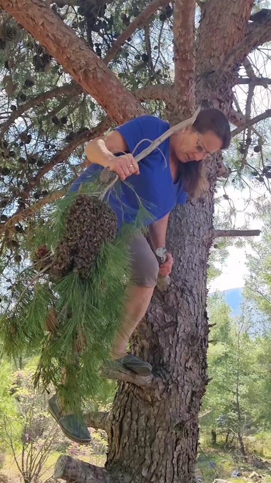 TikTok video thumbnail by merita_vito