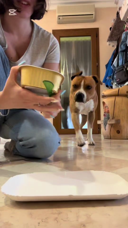 TikTok video thumbnail by saranardello