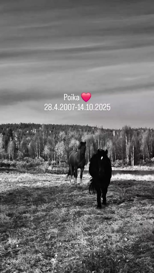 TikTok video thumbnail by eratonttu