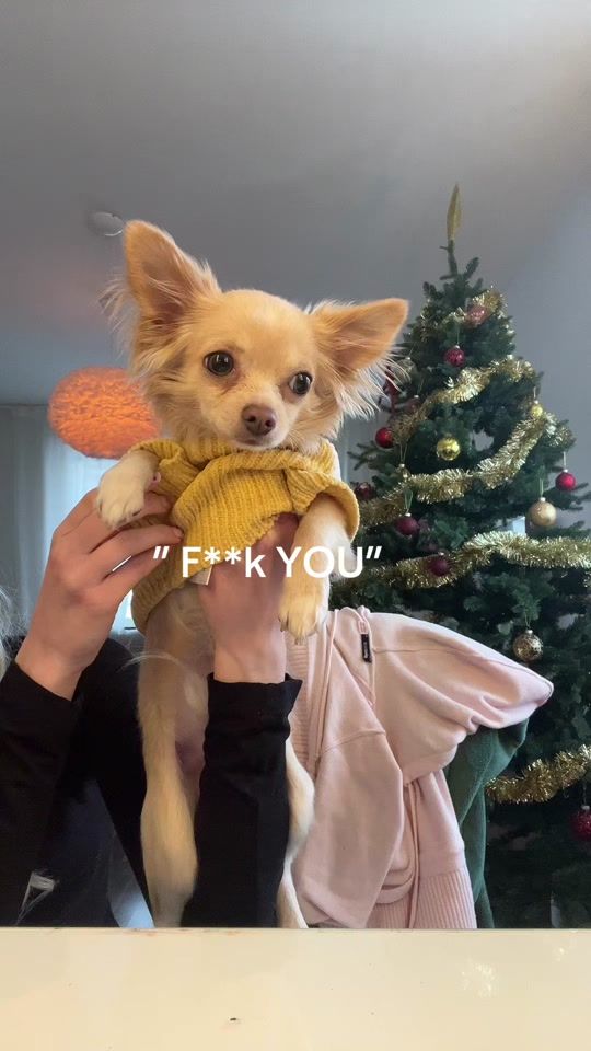 TikTok video thumbnail by vipelin
