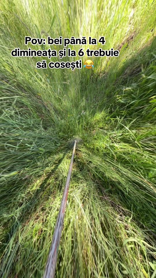 TikTok video thumbnail by petcu2002