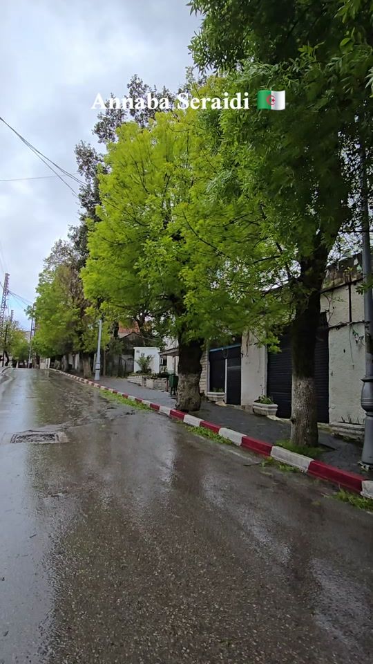 TikTok video thumbnail by seraidi.live.z