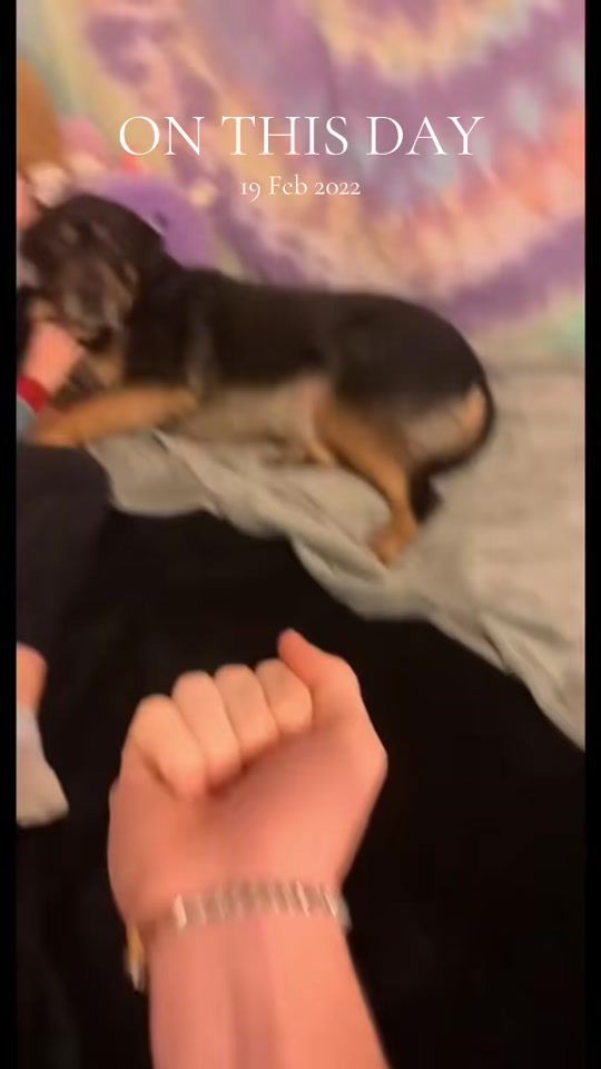 TikTok video thumbnail by eevee.bork