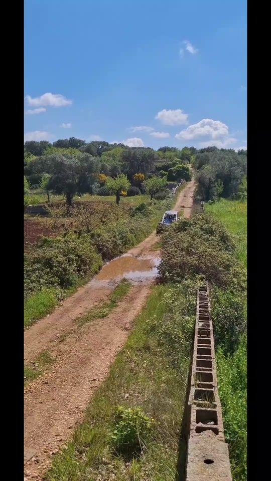 TikTok video thumbnail by puglia_buggy
