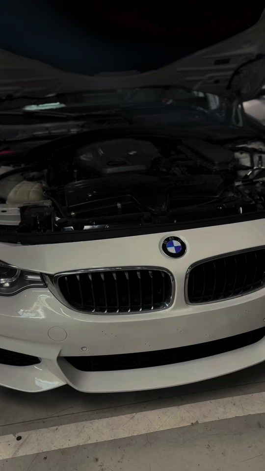 TikTok video thumbnail by ludosandanny